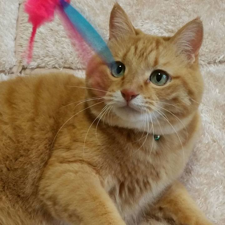 4175180a 804f 45e8 bce4 ac9e242a9703 1517352779591