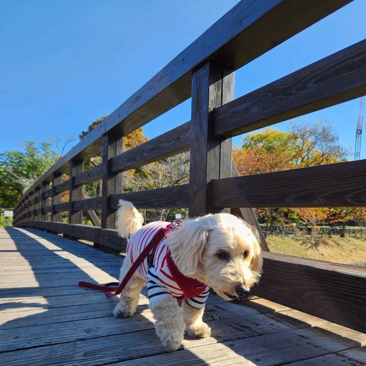 4175402a 8af3 4854 9384 888b1ae598ef 1763529322370