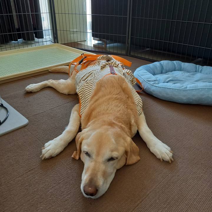 41754872 ae5f 4a29 a417 6177525e29b2 1682991839951