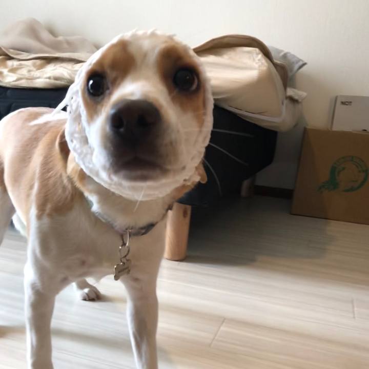 417577f8 69a0 4e92 b12d b7a4accd2b05 1561528641621