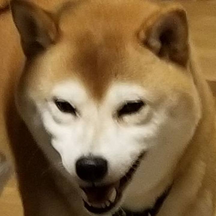 4175a35a 286f 4d45 8f58 f0488c13bc36 1602148351288