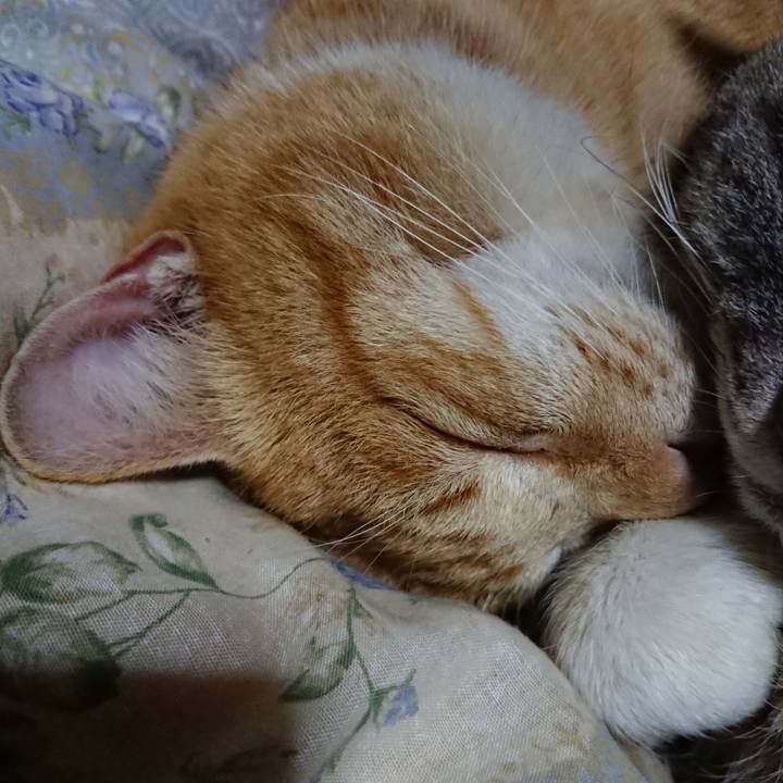 4175e786 0213 44dc 8d59 391c2f57446b 1581682538974