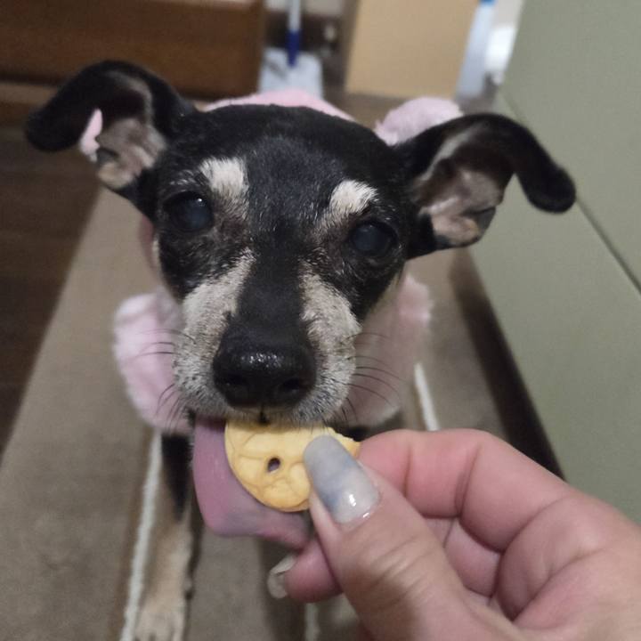 41767429 3b87 4324 ab5e 4bddd186c654 1772653738072