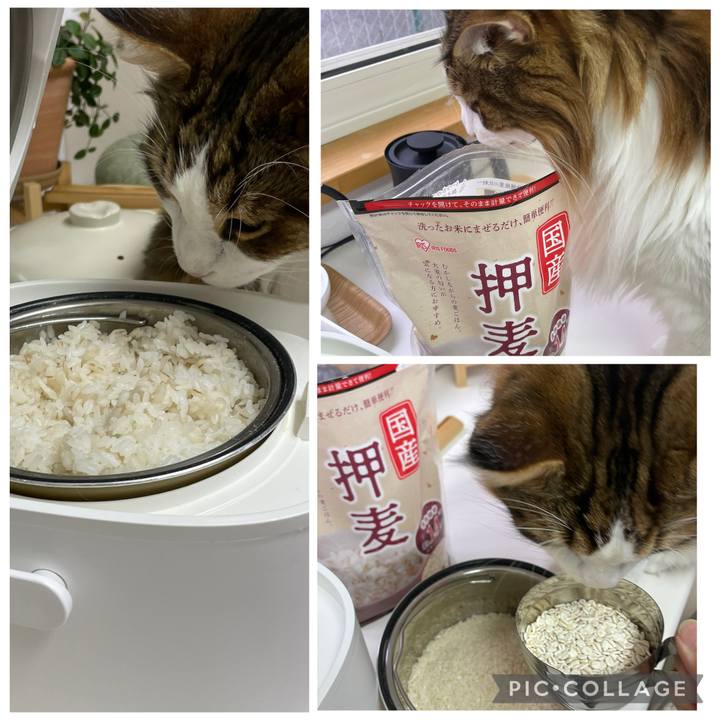 417686b1 ad8d 42db bb47 e44e55d13aeb 1761430968157