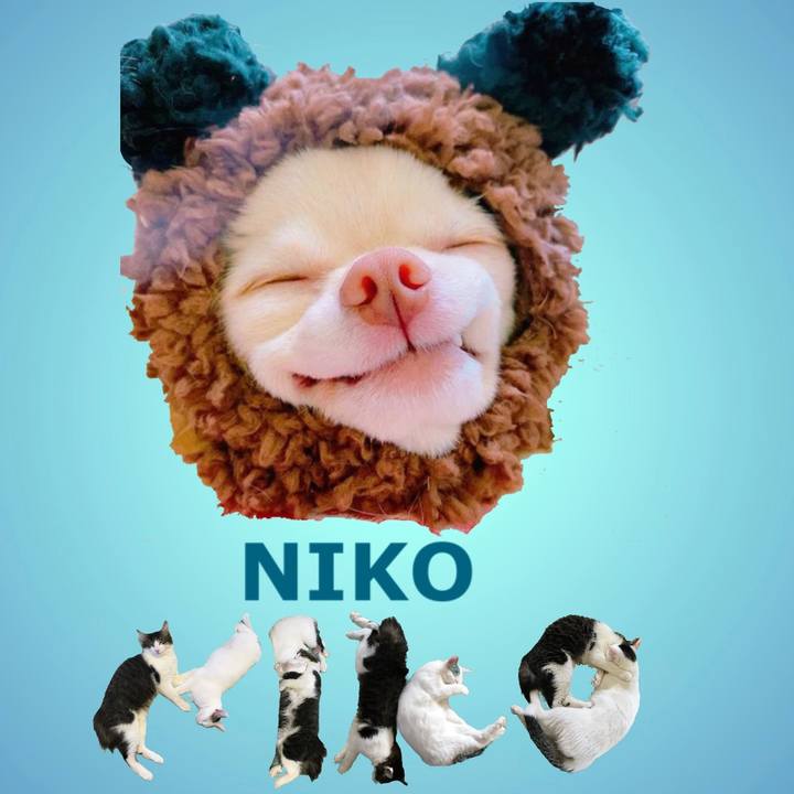 4176cdcc c373 4134 9050 938917b3f92d 1667970688092