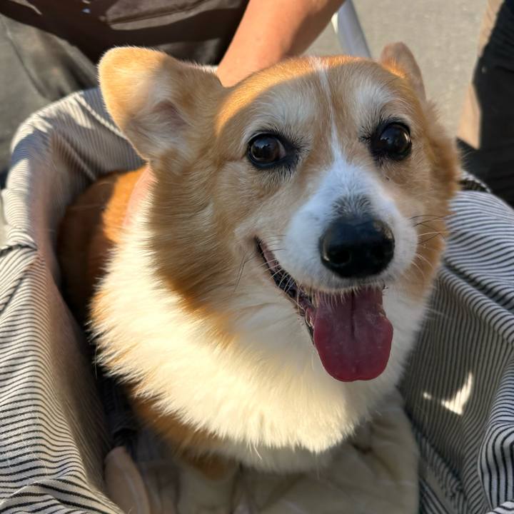 4176d382 2e9a 4cd2 b06f a7d2ca4b3c3c 1764555403333