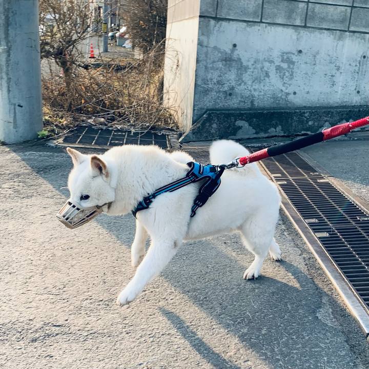 4176ecc0 6062 4a21 897b 979617616a0e 1680561492563