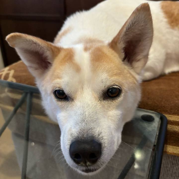 4176ff3a 8001 430c 9a16 0b2ba33c478a 1715166284155