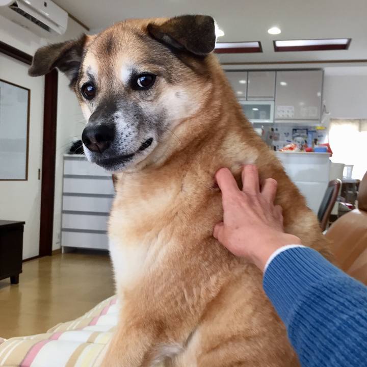 4177547b 47bb 4a1b ba68 a1651fc2f188 1554870960980