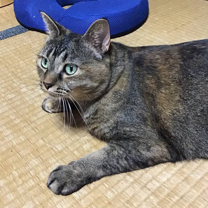 417766c3 7f2b 43ae 858f f530570043db 1756715354226