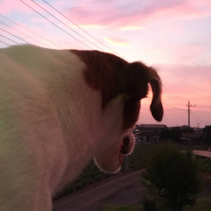 41777279 593c 439c 96d4 91764830af51 1532240588367