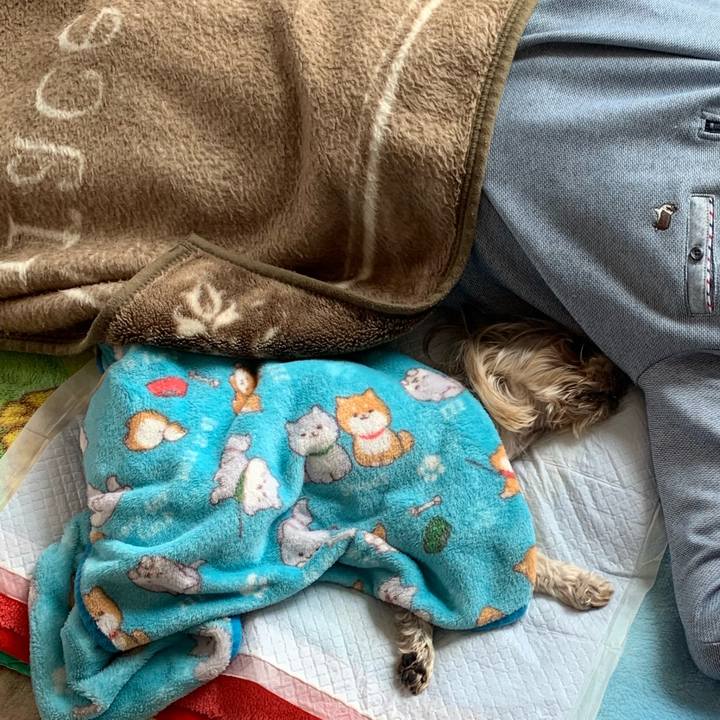 4177c7b8 b54a 4f84 b7a9 e65c260fad41 1713781244551