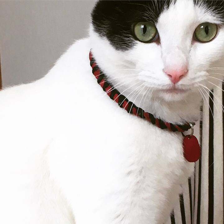 4177c80d 200f 497b 96b7 479b209d252e 1512211408283