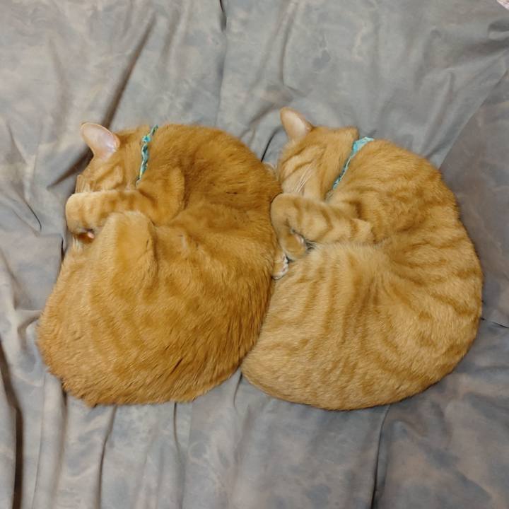 4177ceb5 093b 4702 b324 30f215b170c4 1770707816691