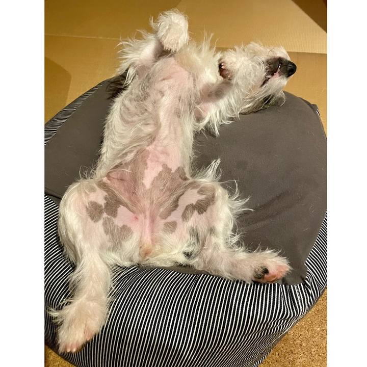 4177fb19 5ec8 45b0 a5a1 87973b0d02d0 1654784219288