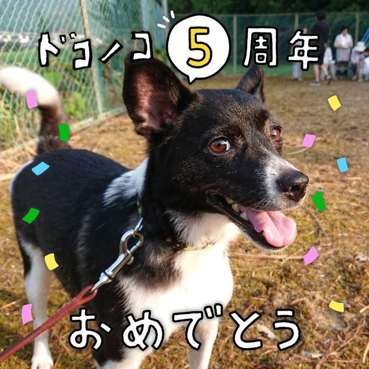 4177fe30 05a7 4c64 a303 bf098f652704 1622975069009