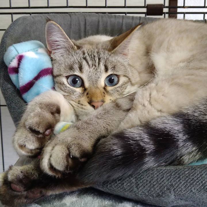 41782977 3645 4b29 be76 c11be2531ff8 1641788307783