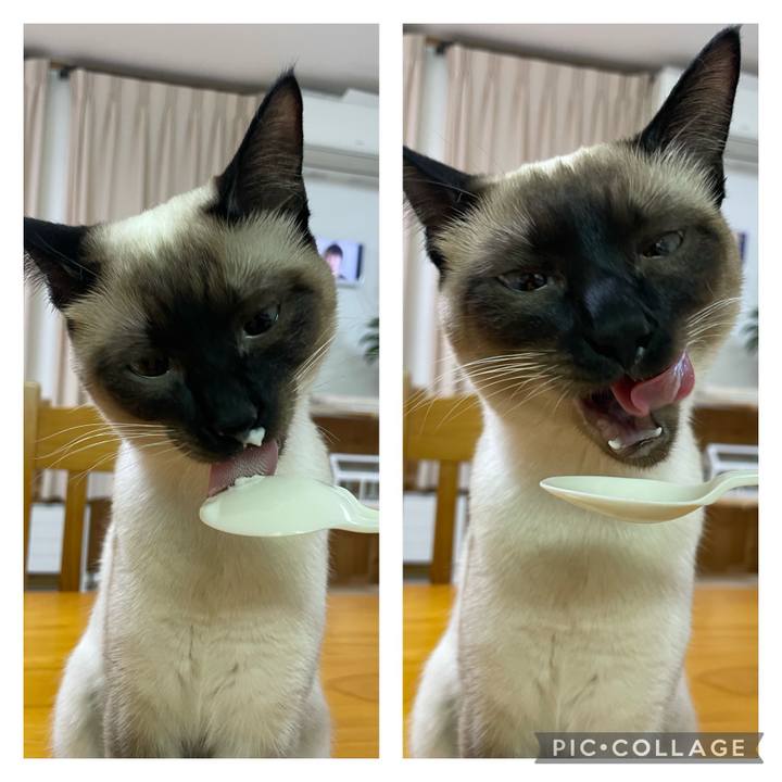 417857b2 ecde 4682 924c 8d07d68a5773 1709757206436