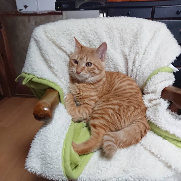 41786008 0888 443e 849c 550a5f1d4c39 1637466429989