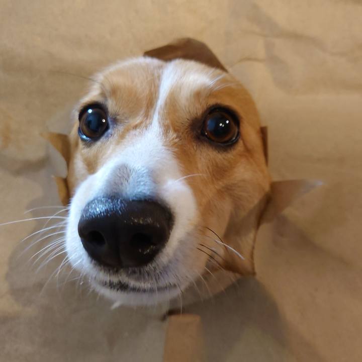 41786b0a 9990 42f9 8ae9 246370306af3 1764934697015