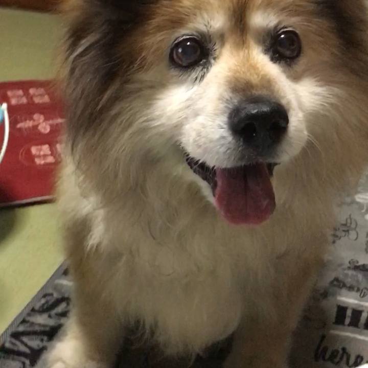 41787799 b78a 4c37 946c c0f4d532a7f5 1608813509376