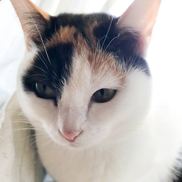 41787fc3 9aa6 4f64 9338 d5d96f3b8ec3 1519721972294