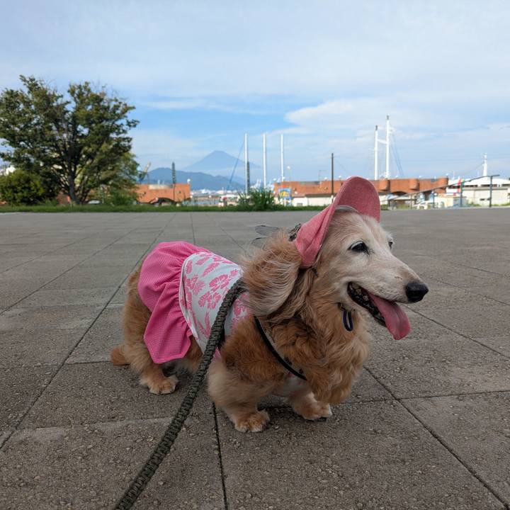 41789a85 e76d 4de9 88ce 670891f6c92a 1757846105463