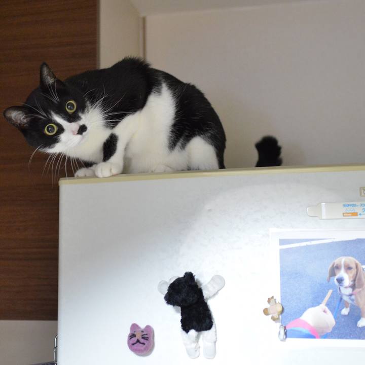 4178af27 fe04 465f 888d 39ea5efd7d14 1541676400845