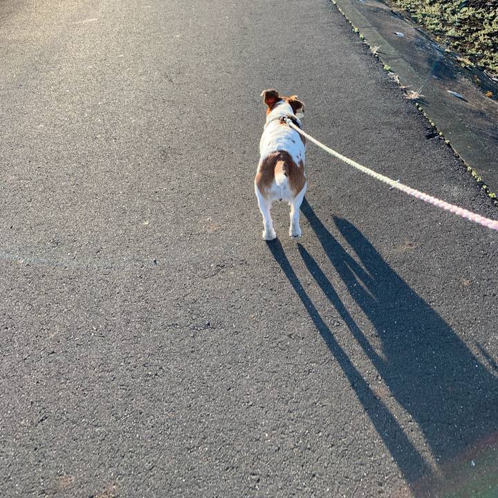 4178c20a 103c 48fb b857 f448ee8e9055 1584275496614