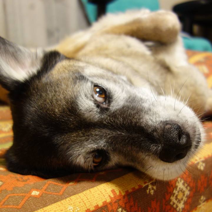 4178f62e cd9c 4d45 acdb a35dc0e0d3c8 1637456699089