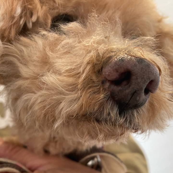 41794e97 92d8 4b1f 923a 36cbfde34fb9 1758441646892