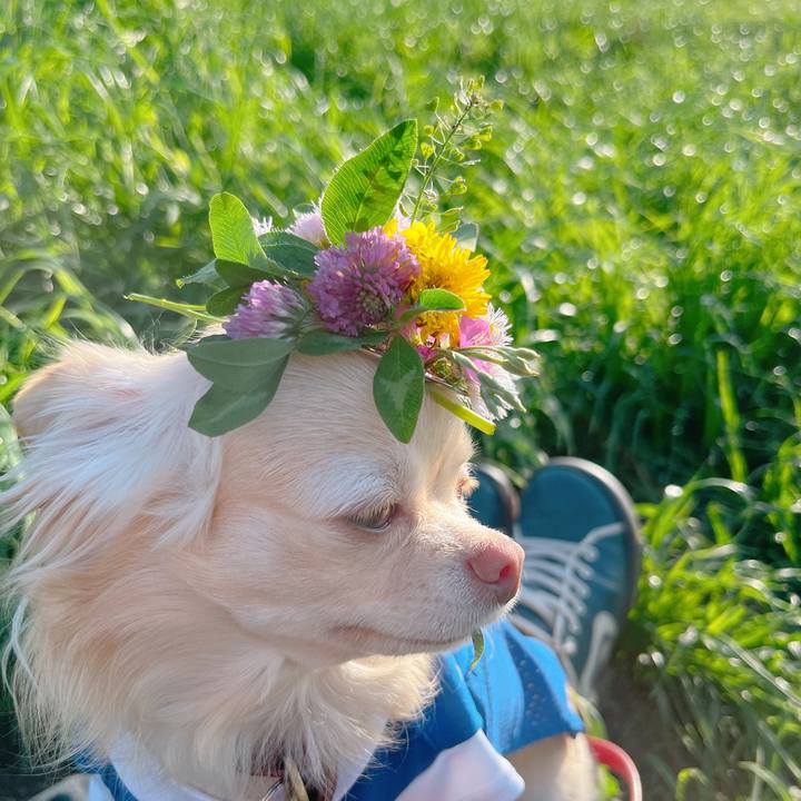 41796032 2812 4710 99df 26f5b4022354 1651305212364