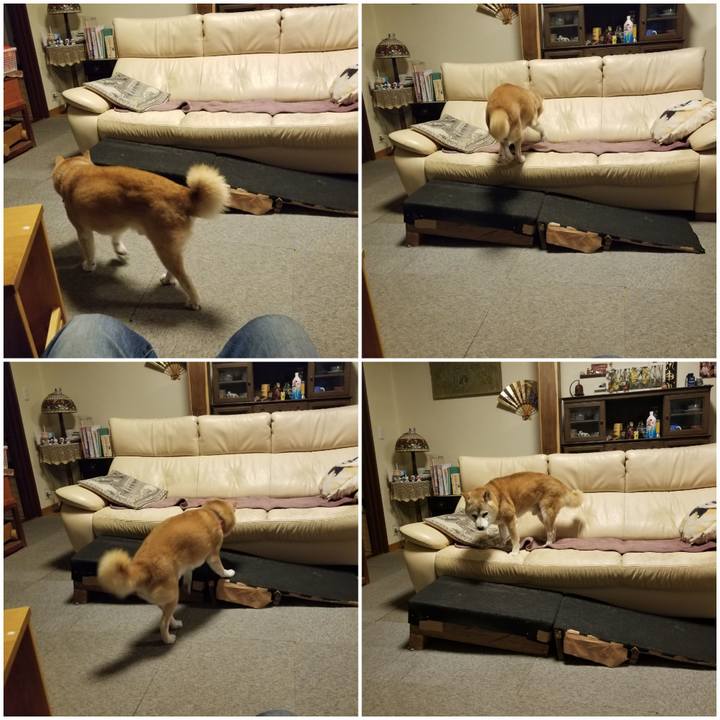 41798e4d 222e 4012 8a40 1c4e92ae4efd 1759911536257