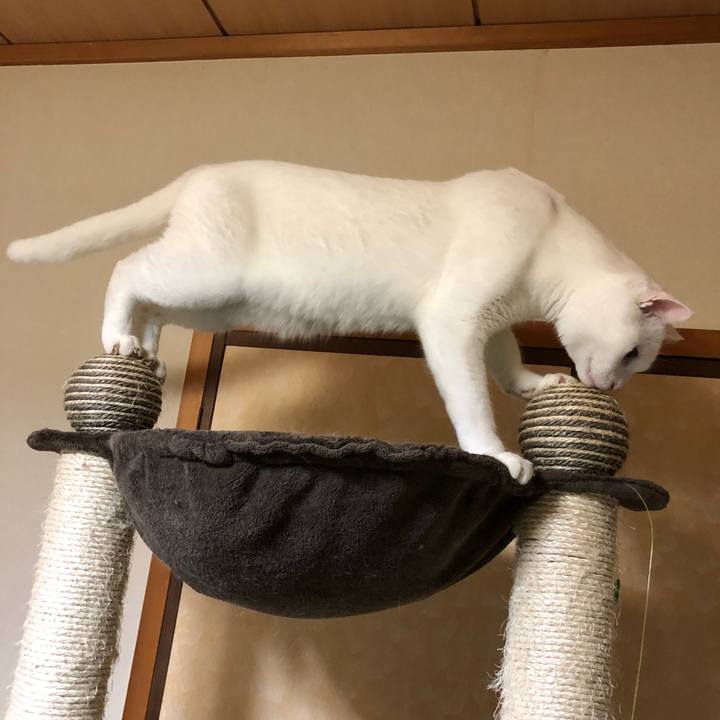 41798fd1 325f 45a6 942c b86db4cc9c9d 1538971723237