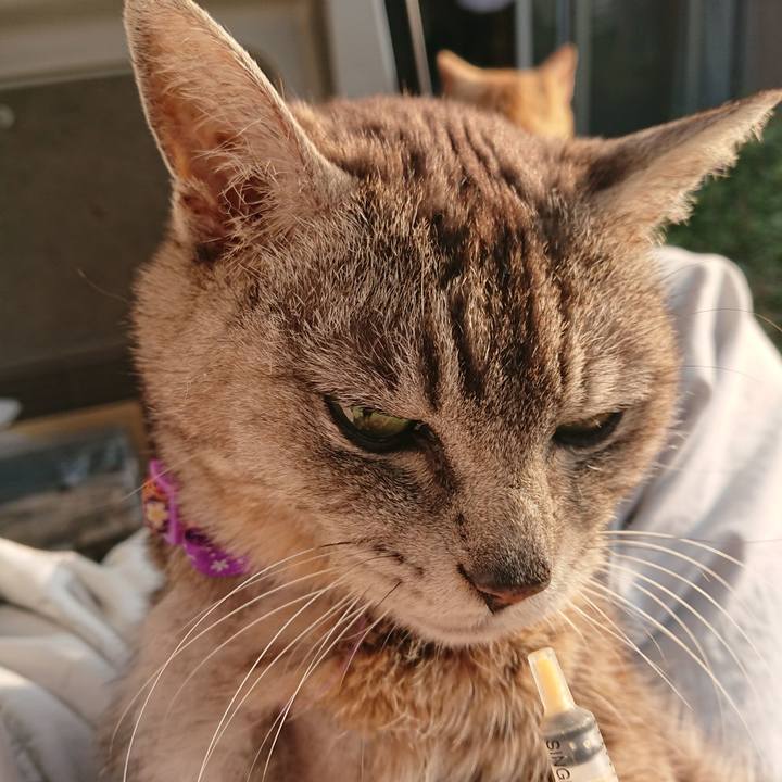 4179ab99 c21f 43d3 8405 a165b50d8c94 1591304267618