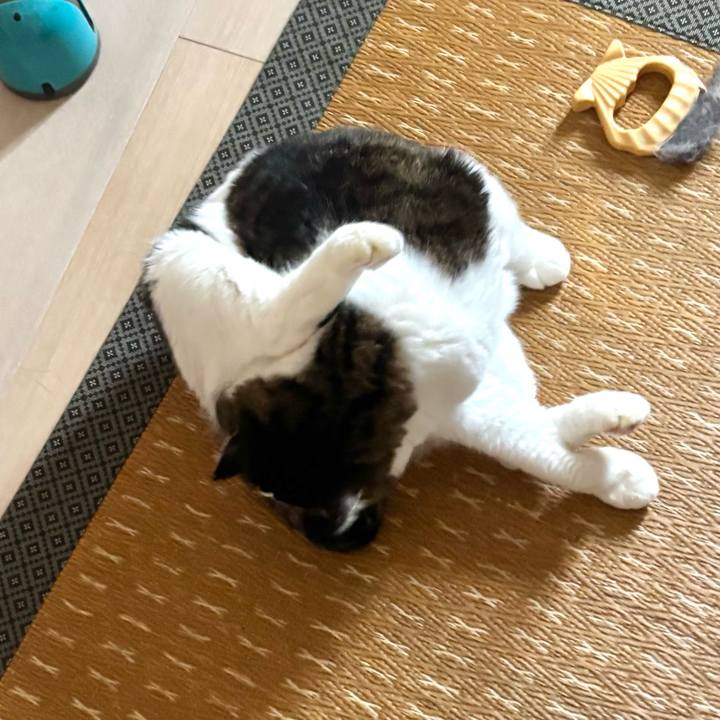 4179b6d9 eae7 441b 9143 a958475ceda4 1757978260854