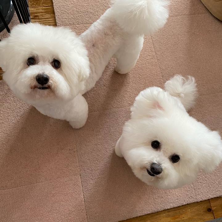 4179d39f b771 4860 8413 8a1ddb10ef97 1676349711075