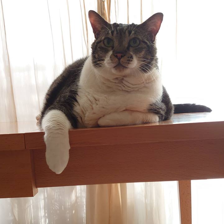 417a0913 ec04 4eaa 97b3 4c69a1823d37 1630120679860