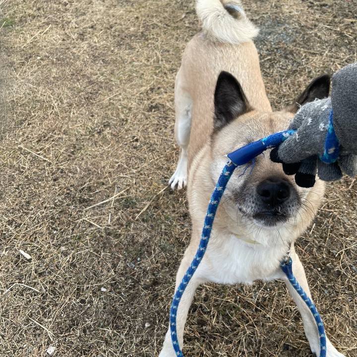 417a271c dbba 4187 9e0d 8c06c5ba56fb 1646395239224