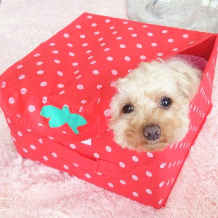 417a6a15 cb23 4582 a1c3 ab02993eb618 1520671349593