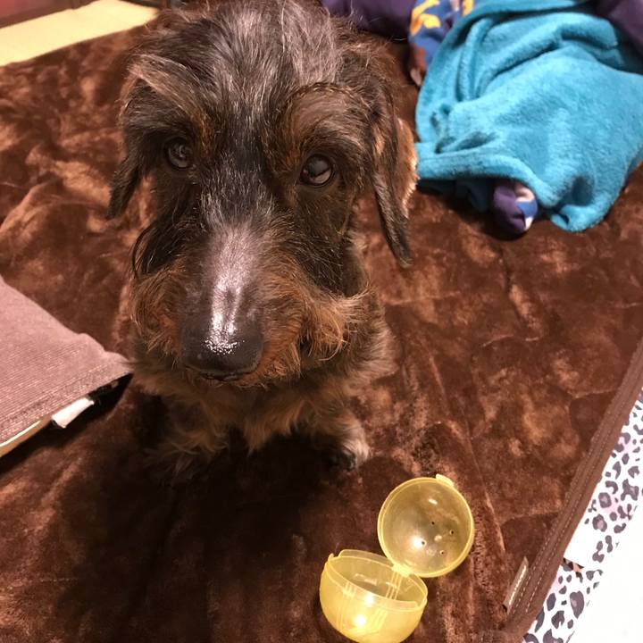 417a85c1 3eab 4e2b bdfa d2f88cc327d6 1547044435257