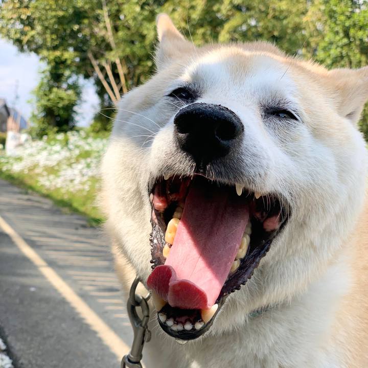 417a8738 6110 4fad 91a5 2243bbe795ae 1591288176767