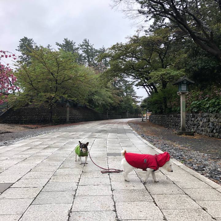 417a8cc5 183f 4923 8b38 40d28fa052a2 1556238556898