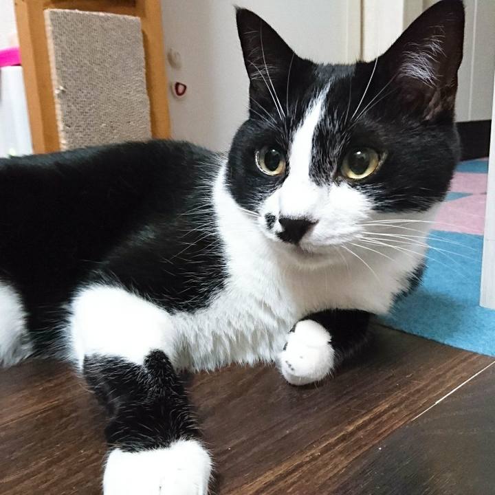 417a9358 4153 46d8 a4f5 d0543a12cc7f 1528645601853