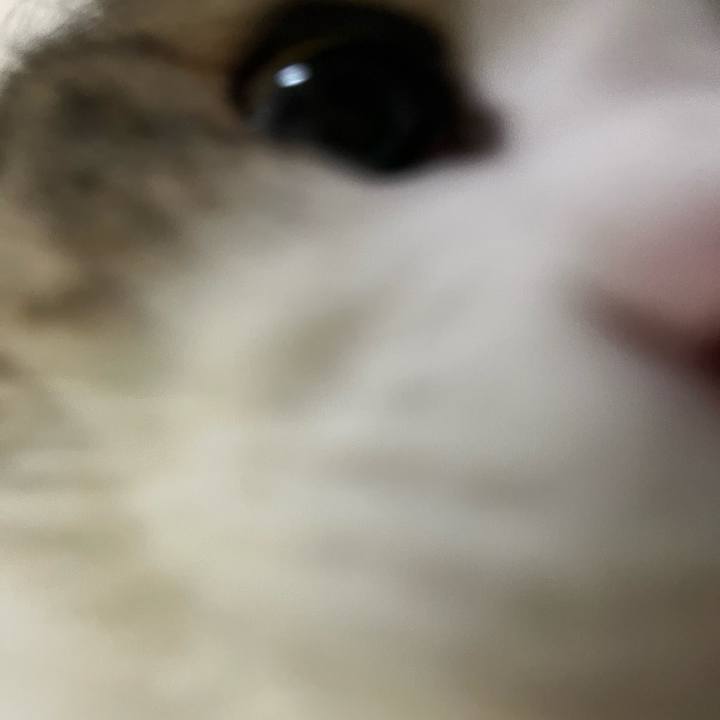 417aa5f4 ae15 4e8e 99d9 ebf9f72679e3 1780041019113