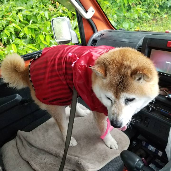 417ad159 ce83 45c2 8ac1 cd76136f3422 1719128541596