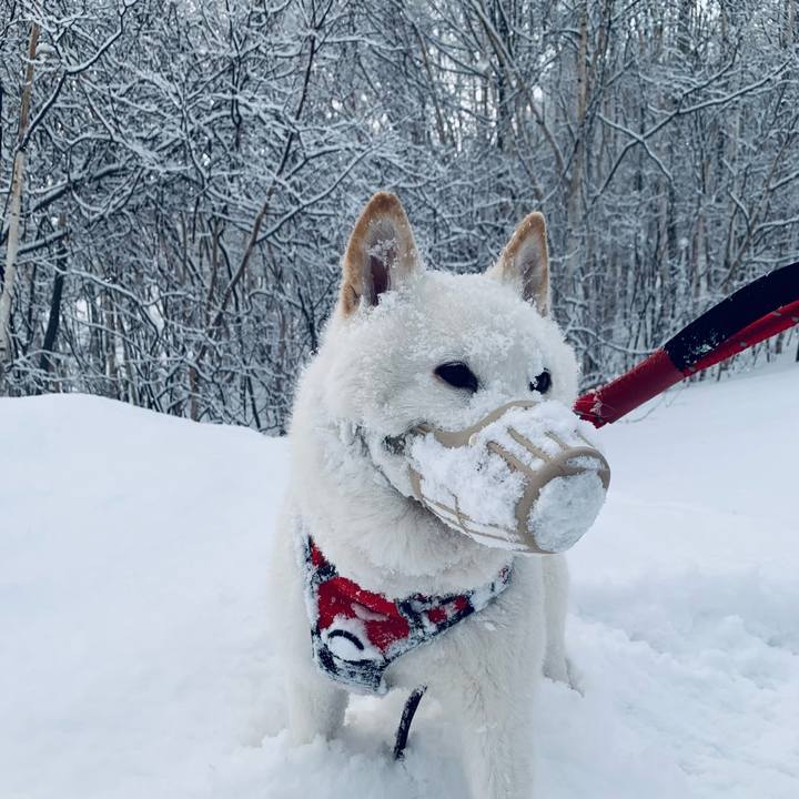 417ad6ae bf86 4946 8bb2 7e6bc9037d28 1677882732289