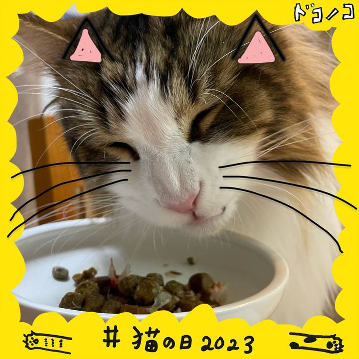 417ae63c 00b5 4128 8bf3 75228c55adaa 1677058347415