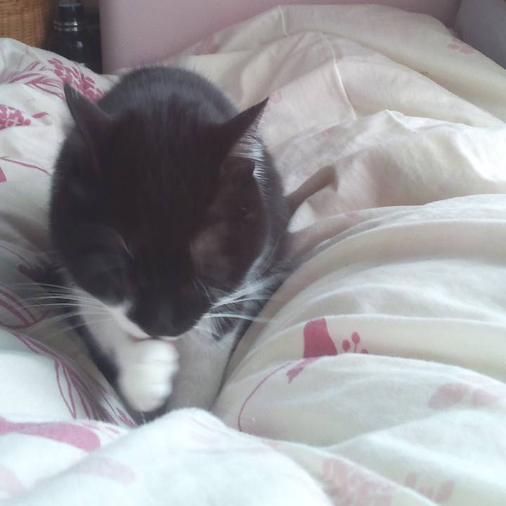 417af3b7 53ca 4b65 9f04 9a5a20526c15 1520223843084