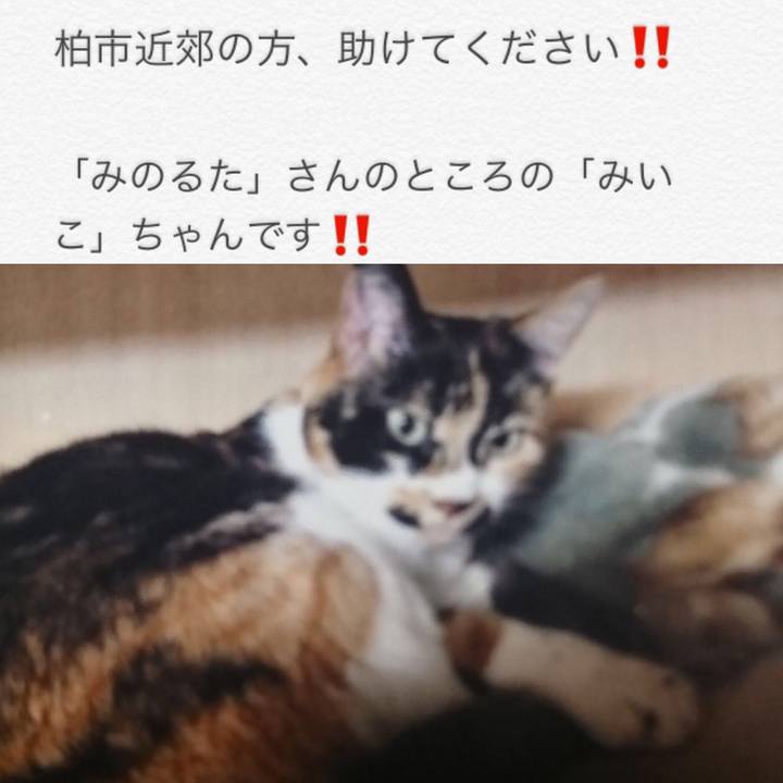 417b0339 16e1 4b05 986b 11b315869fb5 1540049027244